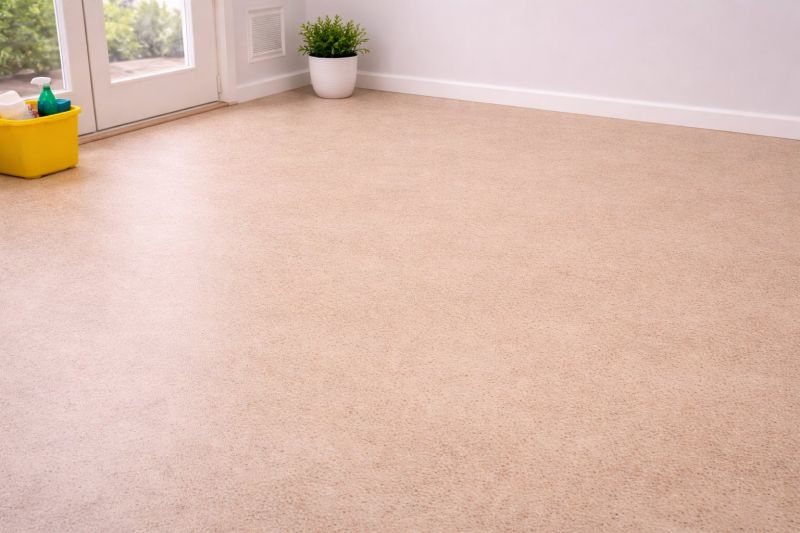 Sheet Linoleum Installation in Palo Pinto County, TX